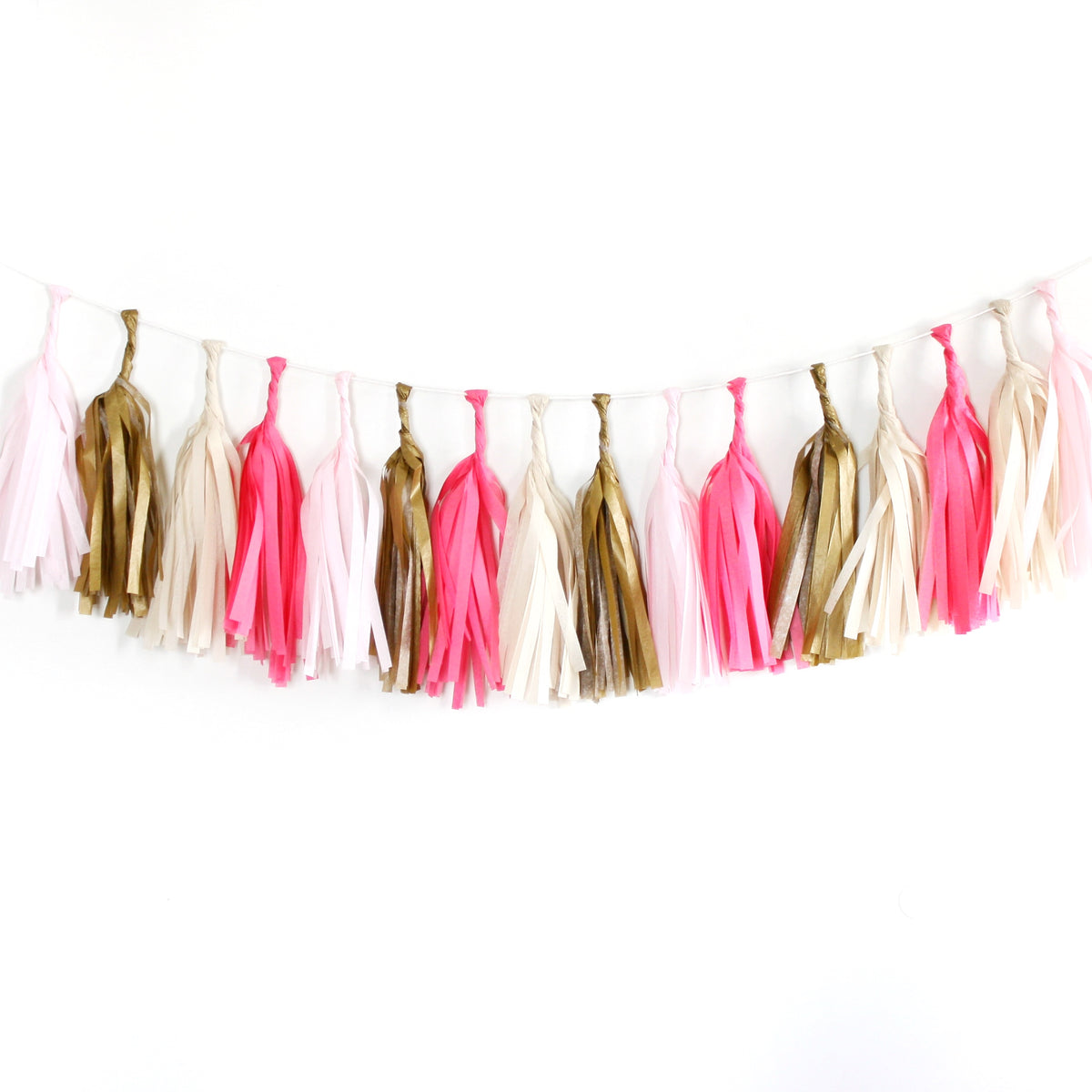Girls Just Wanna Have Fun Fringe Tissue Tassel Garland Kit or Fully As –  Wants and Wishes