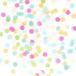 Handcut Confetti - Rainbow
