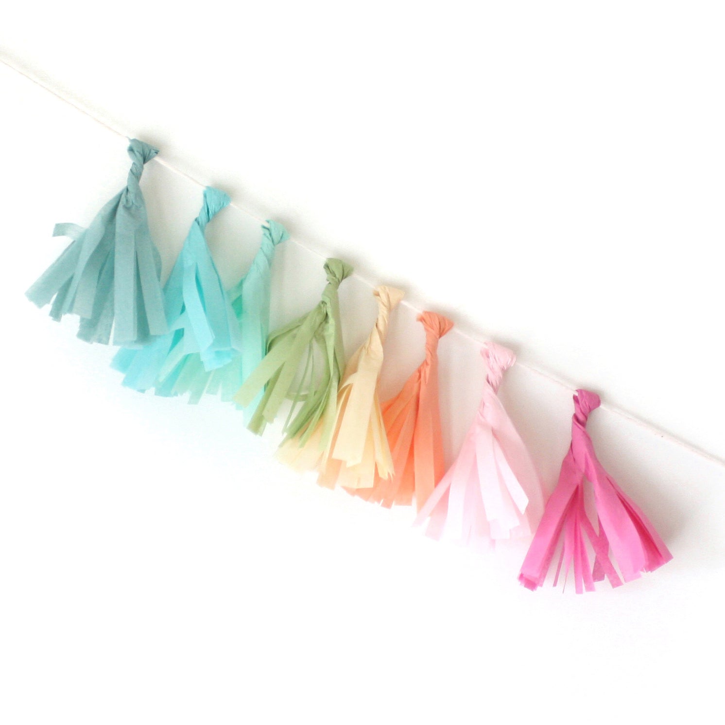 Mini Tissue Tassel Garland Kit - Rainbow