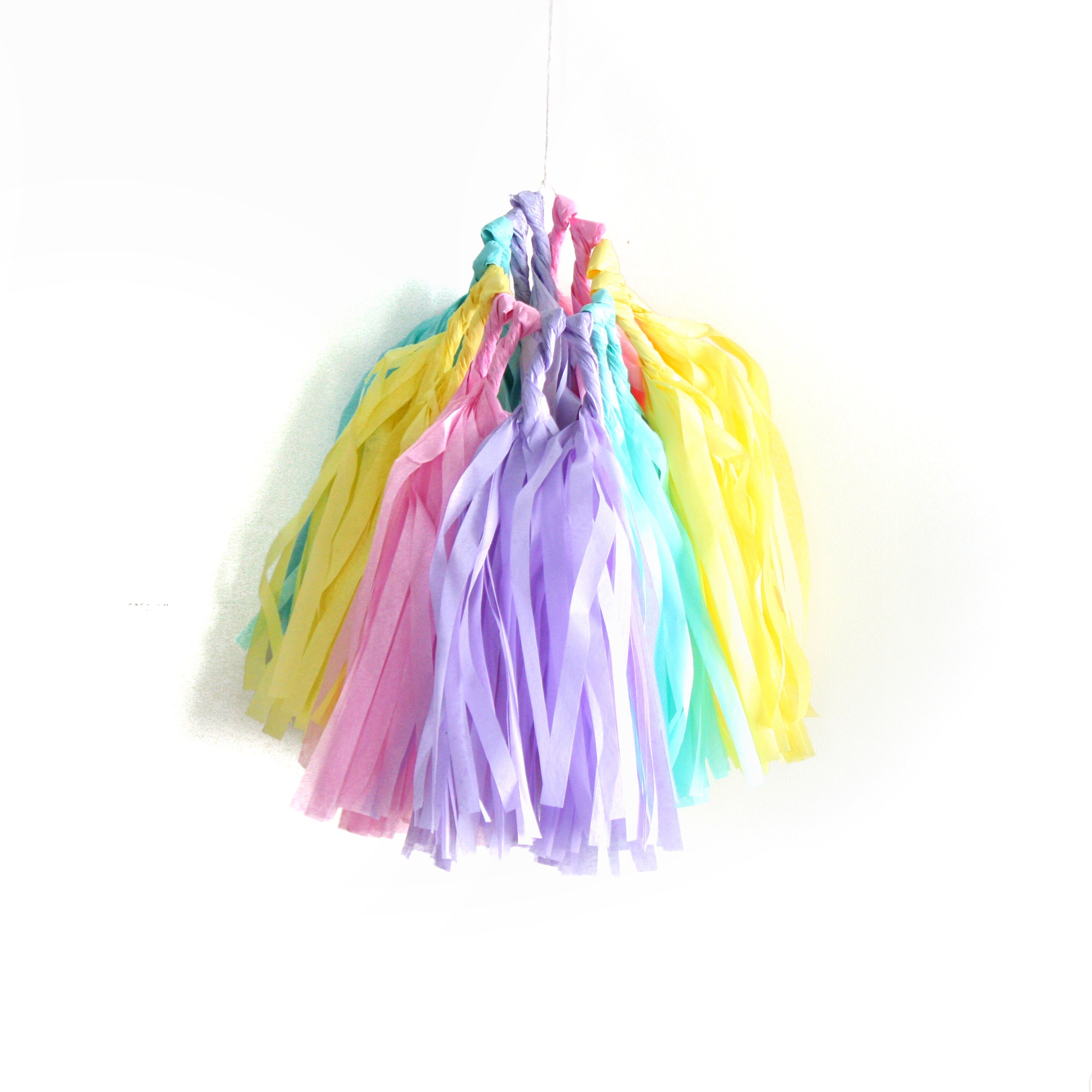 Mini Tissue Tassel Garland Kit - Rainbow – The Flair Exchange®
