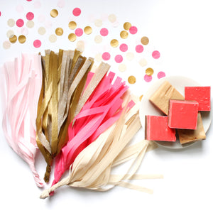 Tissue Paper Tassel Garland Kit - Sweetheart