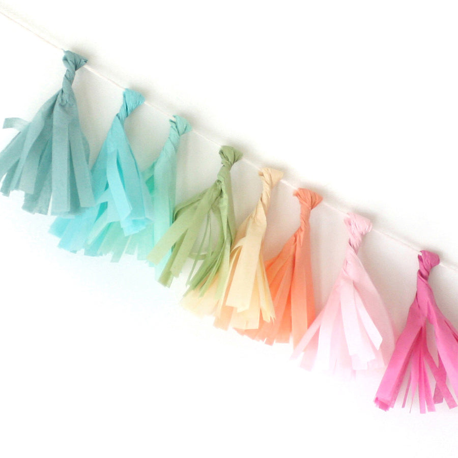 Mini Tissue Tassel Garland Kit - Rainbow